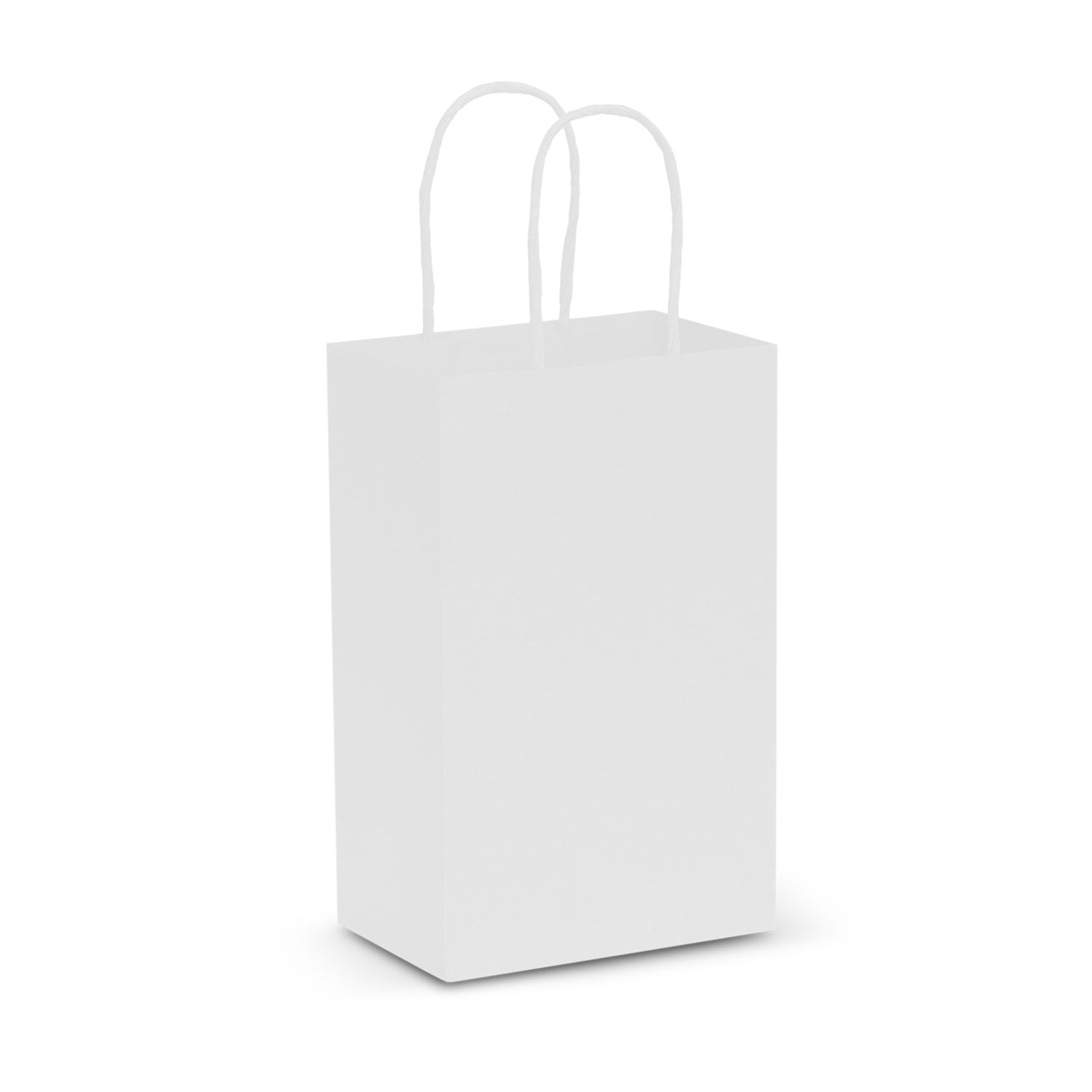Paper Carry Bag - Small - Simply Merchandise