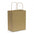 Paper Carry Bag - Medium - Simply Merchandise