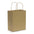 Paper Carry Bag - Medium - Simply Merchandise