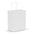 Paper Carry Bag - Medium - Simply Merchandise