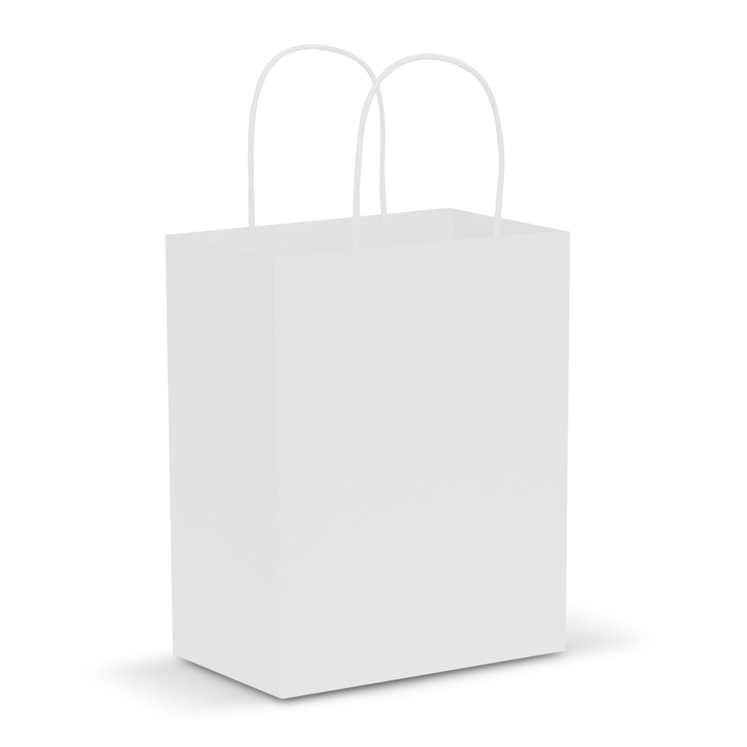 Paper Carry Bag - Medium - Simply Merchandise