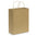 Paper Carry Bag - Large - Simply Merchandise