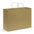 Paper Carry Bag - Extra Large - Simply Merchandise