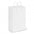 Laminated Carry Bag - Small - Simply Merchandise
