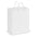 Laminated Carry Bag - Medium - Simply Merchandise
