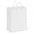 Laminated Carry Bag - Medium - Simply Merchandise