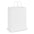 Laminated Carry Bag - Large - Simply Merchandise