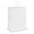 Laminated Carry Bag - Large - Simply Merchandise