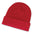 Everest Beanie
