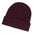 Everest Beanie