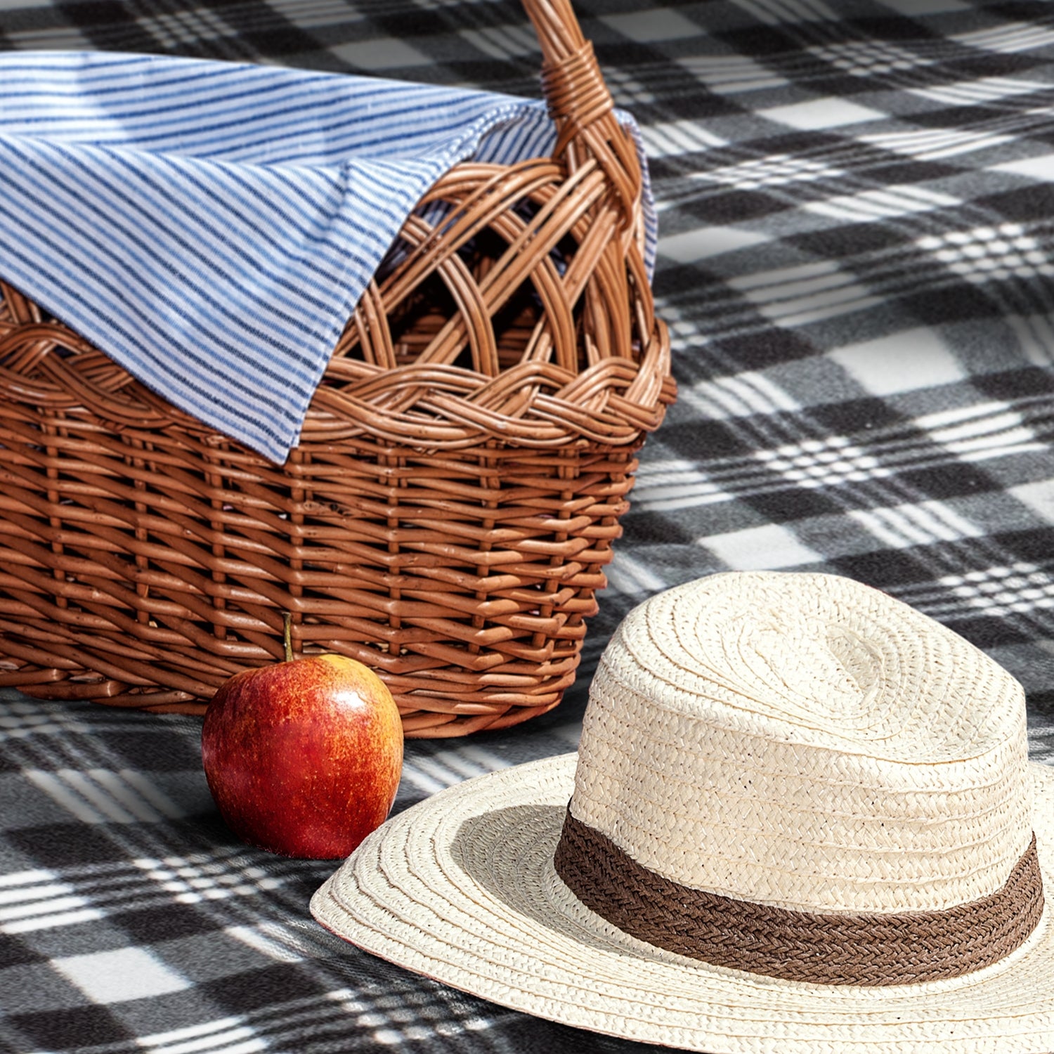 Dakota Picnic Blanket - Simply Merchandise