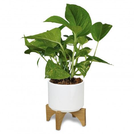 Planter with Bamboo Base - Simply Merchandise