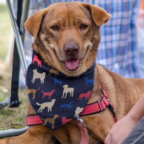 Pet Bandana - Medium with custom branded logo - Simply Merchandise