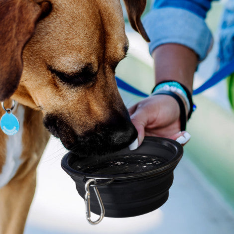 Silicone Collapsible Pet Bowl - Simply Merchandise