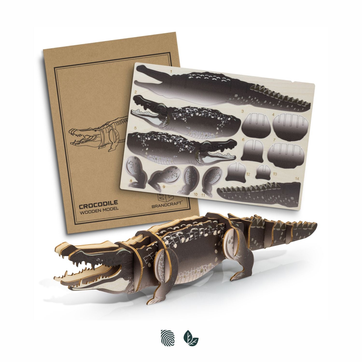 BRANDCRAFT Crocodile Wooden Model - Simply Merchandise