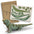 BRANDCRAFT Tuatara Wooden Model - Simply Merchandise
