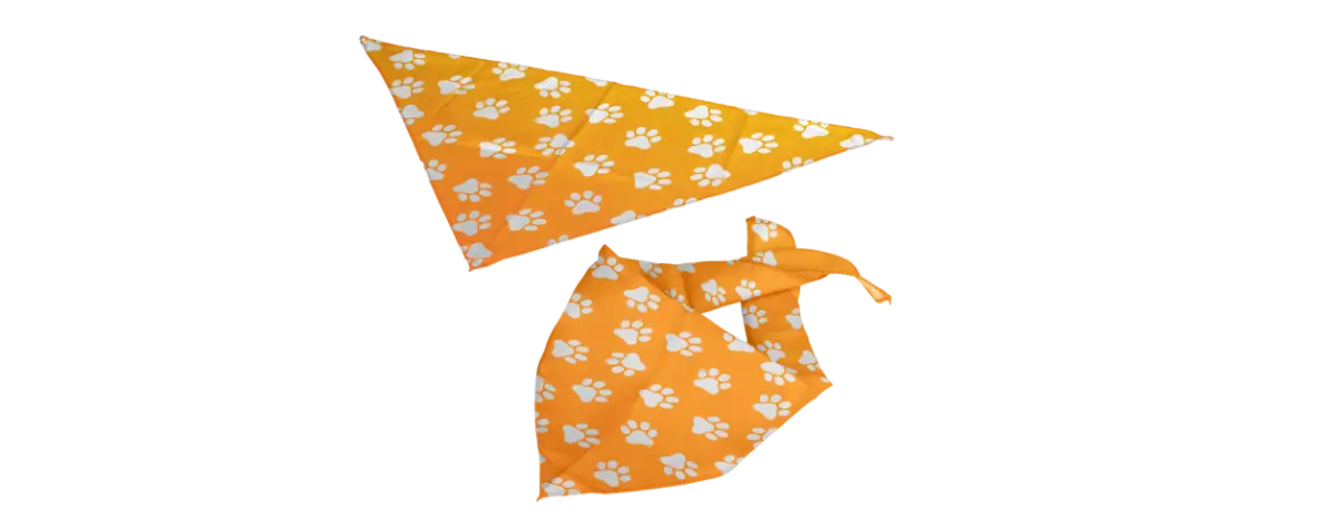 Personalised Bandanas