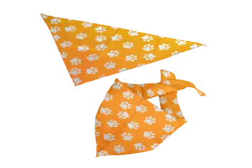 Promotional  Bandanas