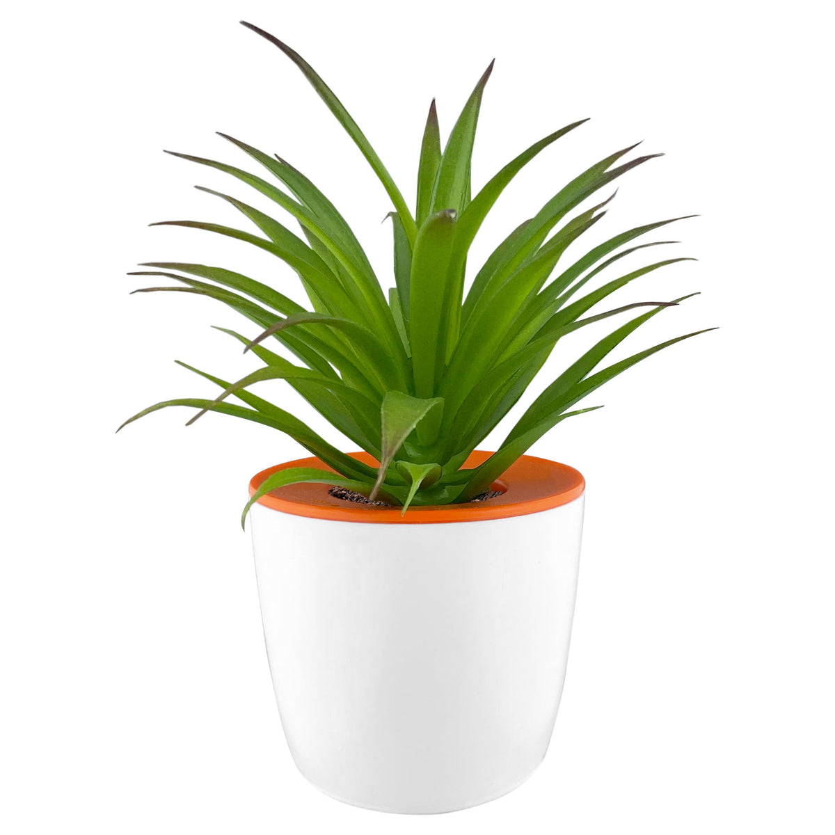 Mini Desk Plant Pot with custom branded logo - Simply Merchandise