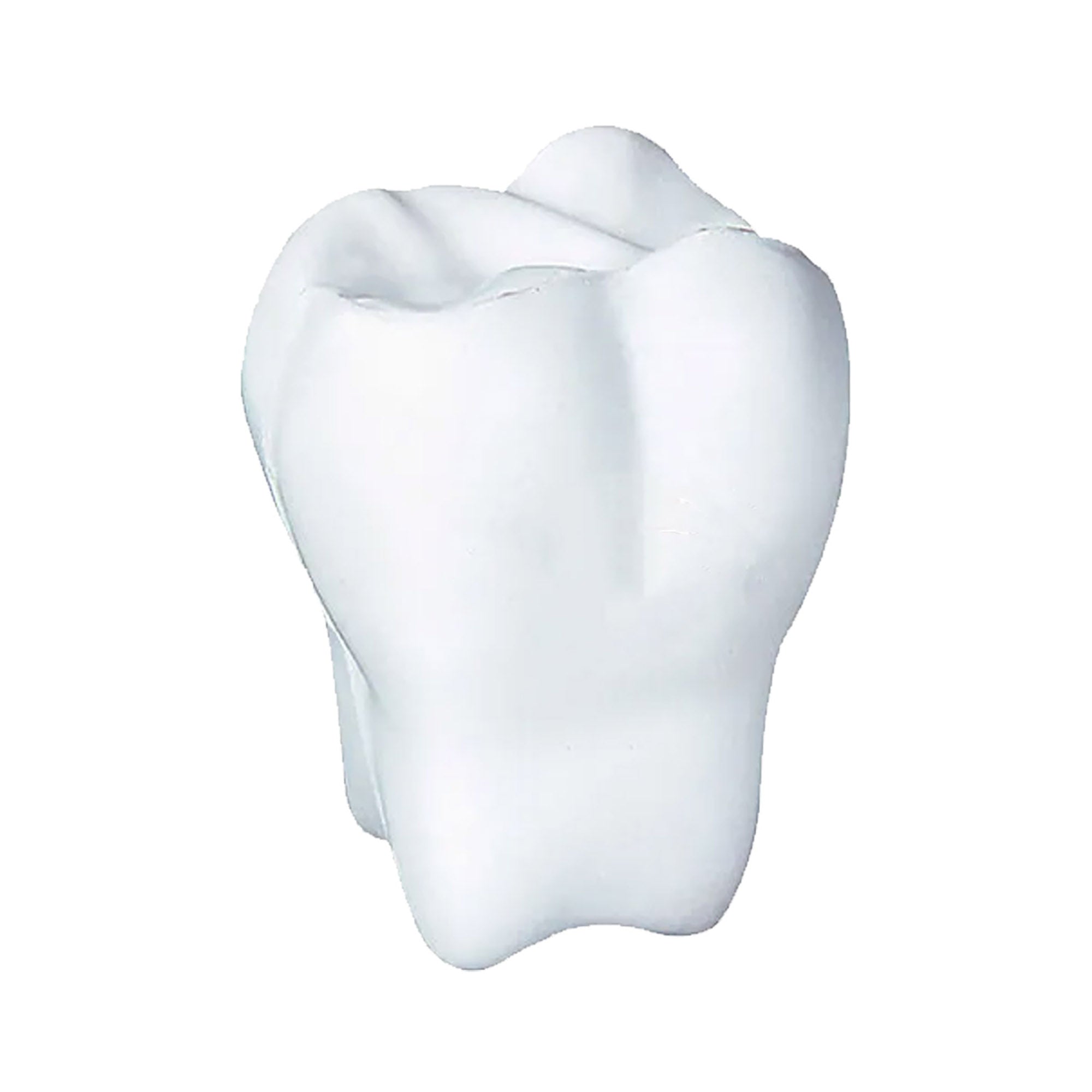 Stress Tooth - Simply Merchandise