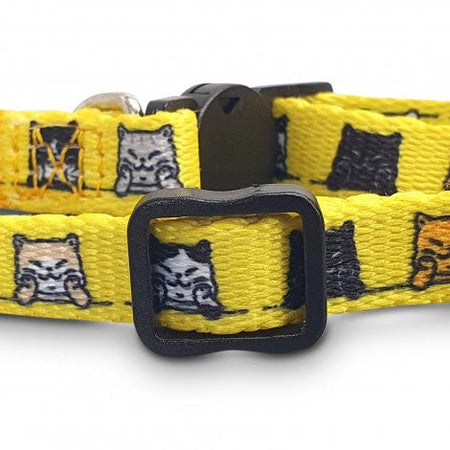 Amigo Cat Collar - Simply Merchandise