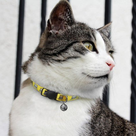 Amigo Cat Collar - Simply Merchandise